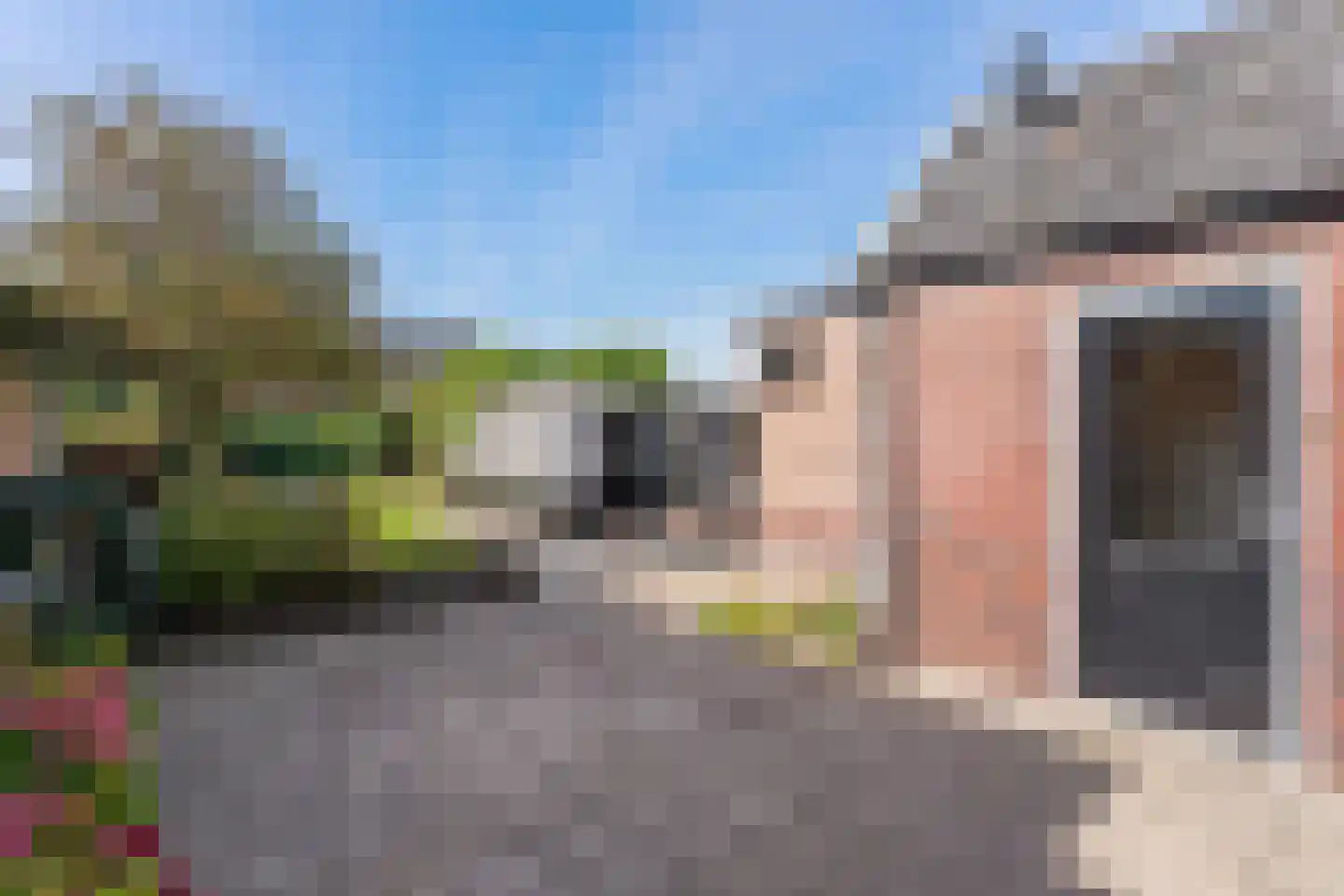 Boerskottenlaan 66 Oldenzaal thumbnail 21