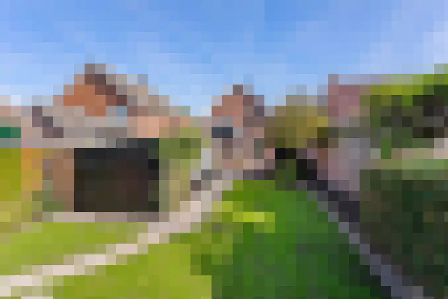 Boerskottenlaan 66 Oldenzaal thumbnail 5