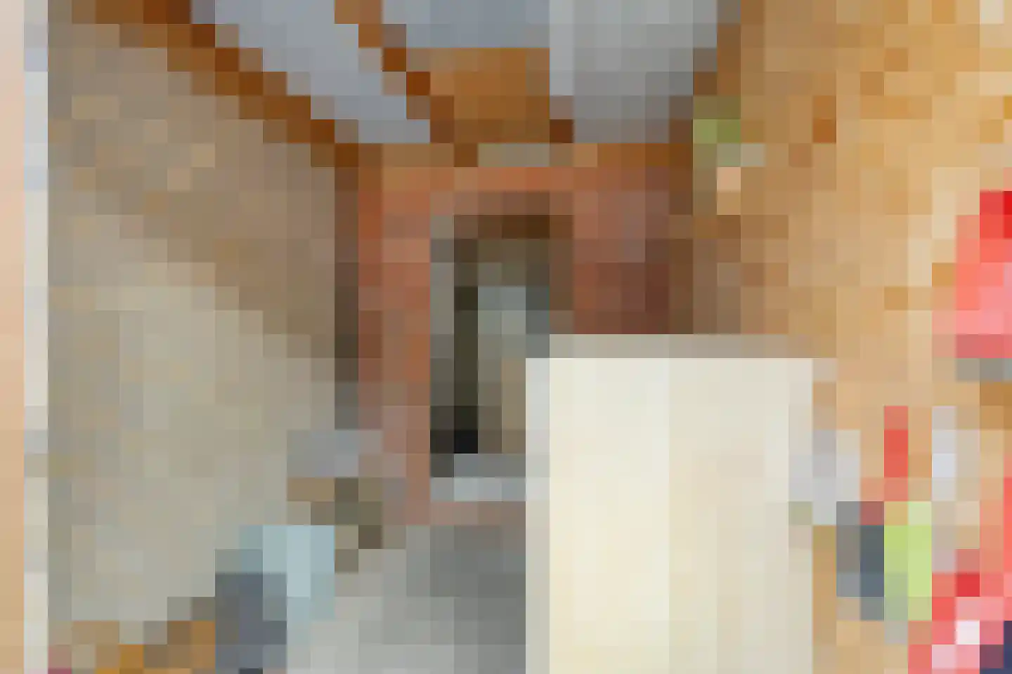 Boersma's Pad 2 A Norg thumbnail 26