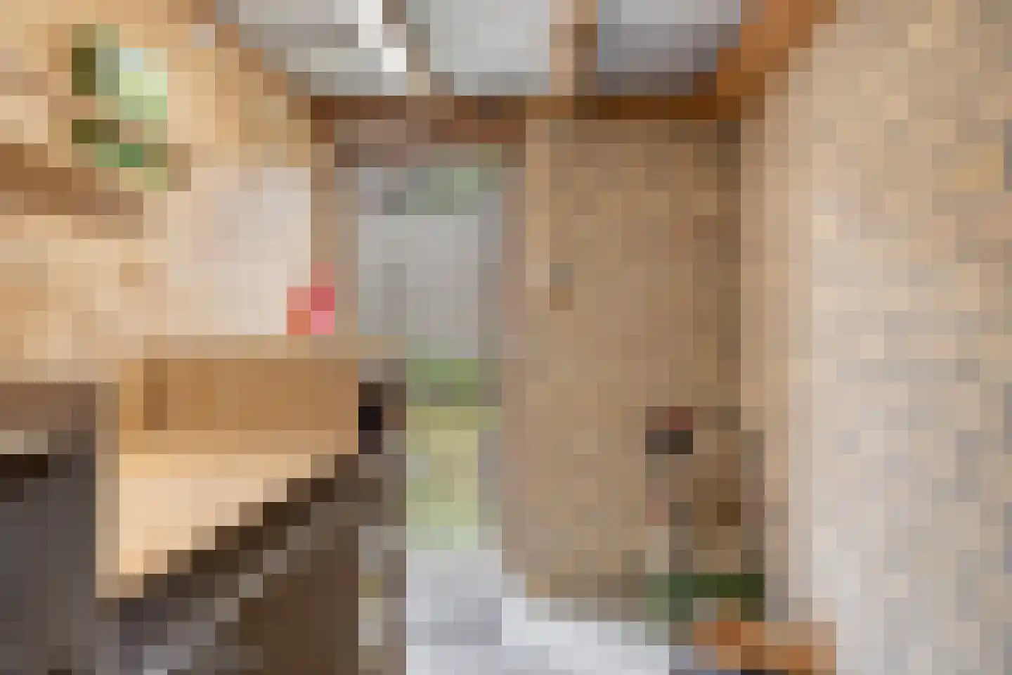 Boersma's Pad 2 A Norg thumbnail 30
