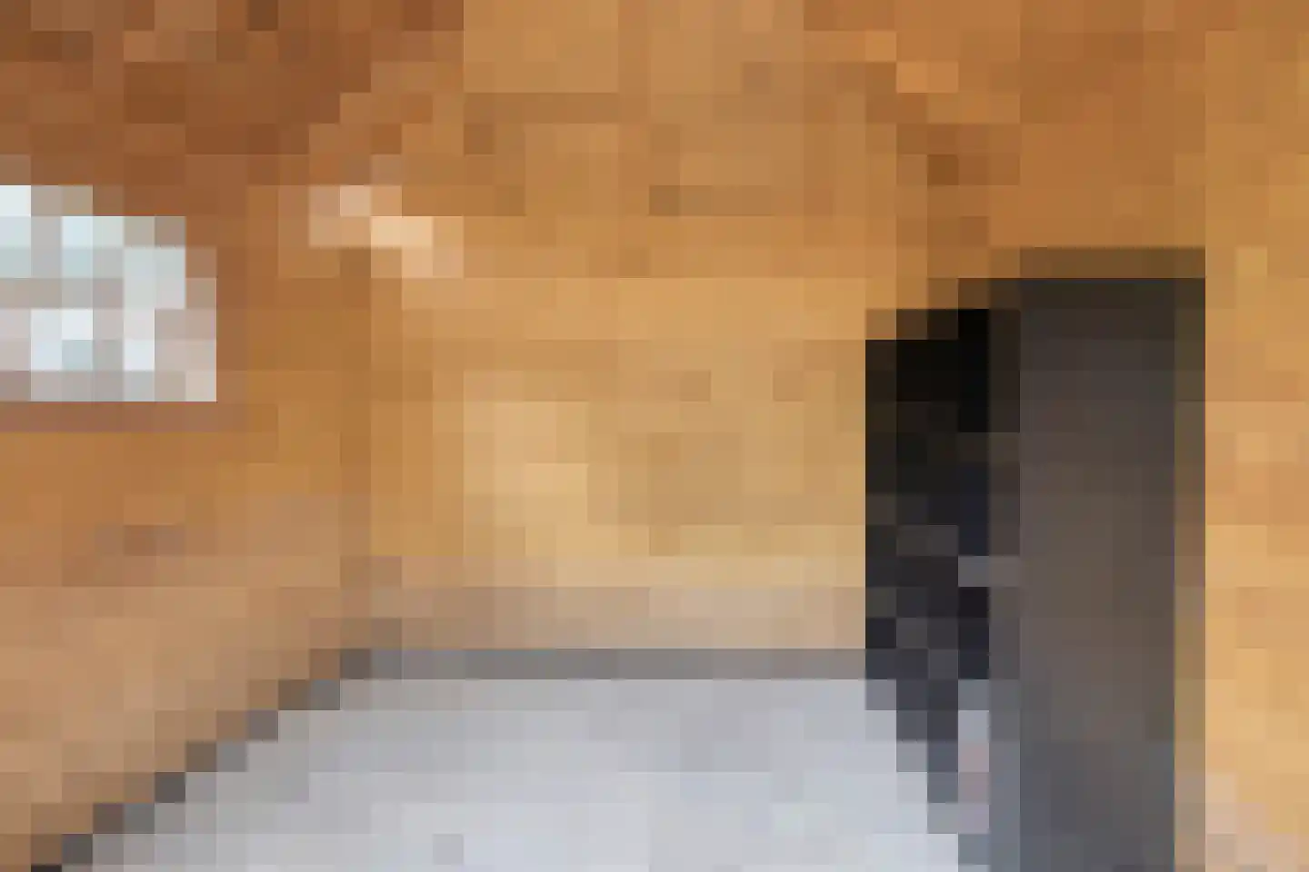 Boersma's Pad 2 A Norg thumbnail 34