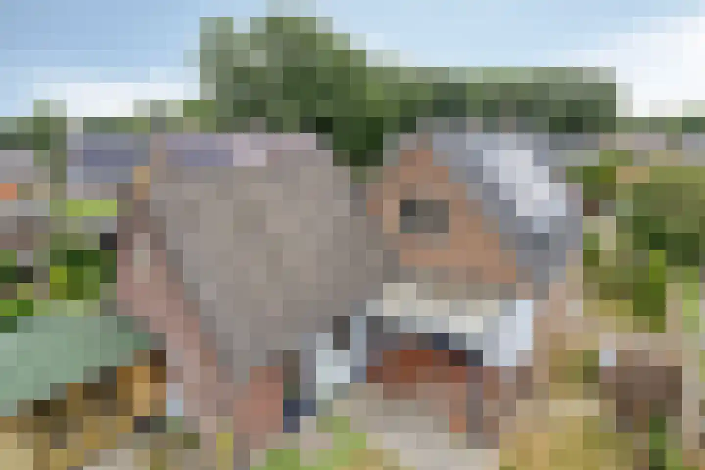 Boersma's Pad 2 A Norg thumbnail 36