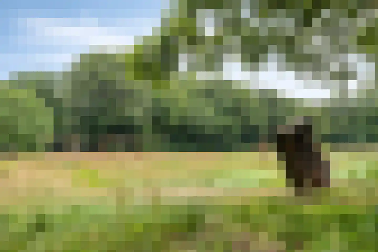 Boersma's Pad 2 A Norg thumbnail 42