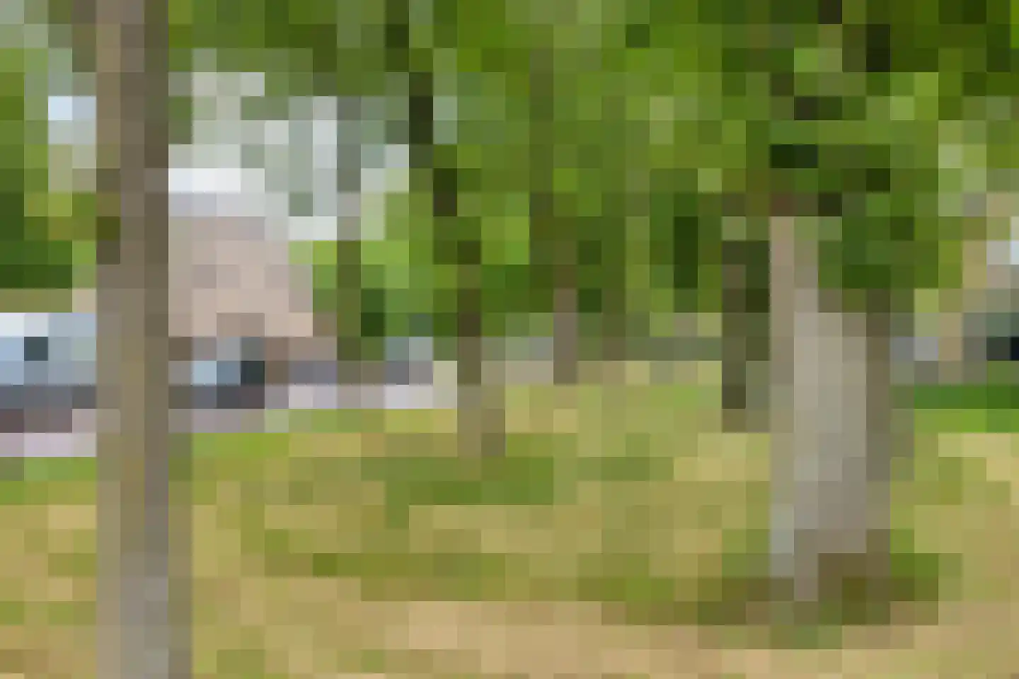 Boersma's Pad 2 A Norg thumbnail 44