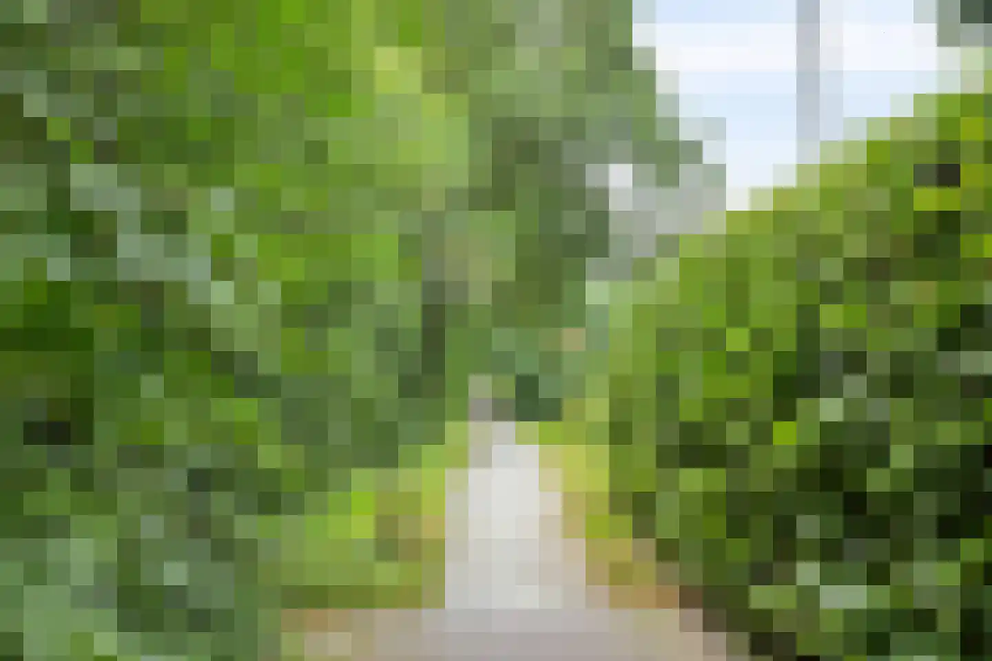 Boersma's Pad 2 A Norg thumbnail 45
