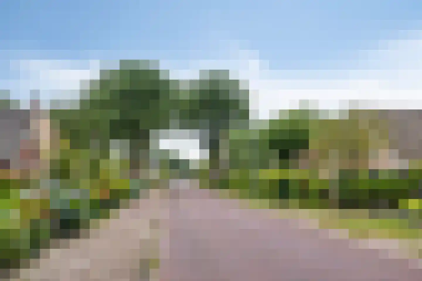 Boersma's Pad 2 A Norg thumbnail 47