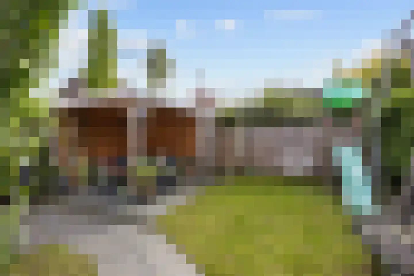 Boersterweg 5 c Ten Boer thumbnail 48