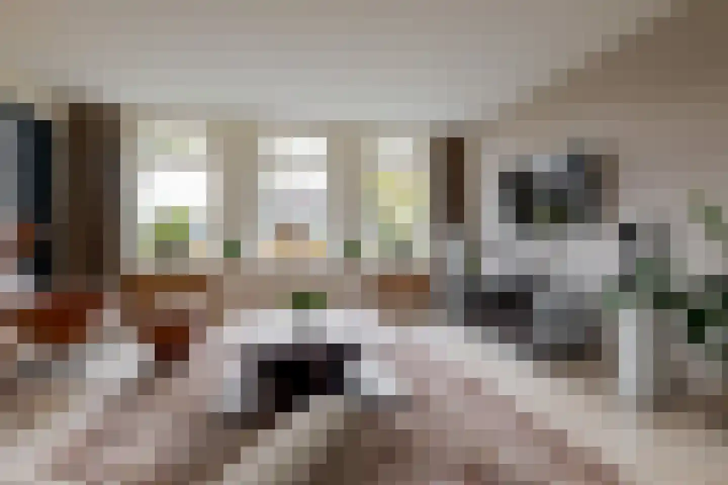Boerstraat 4 Elp thumbnail 13