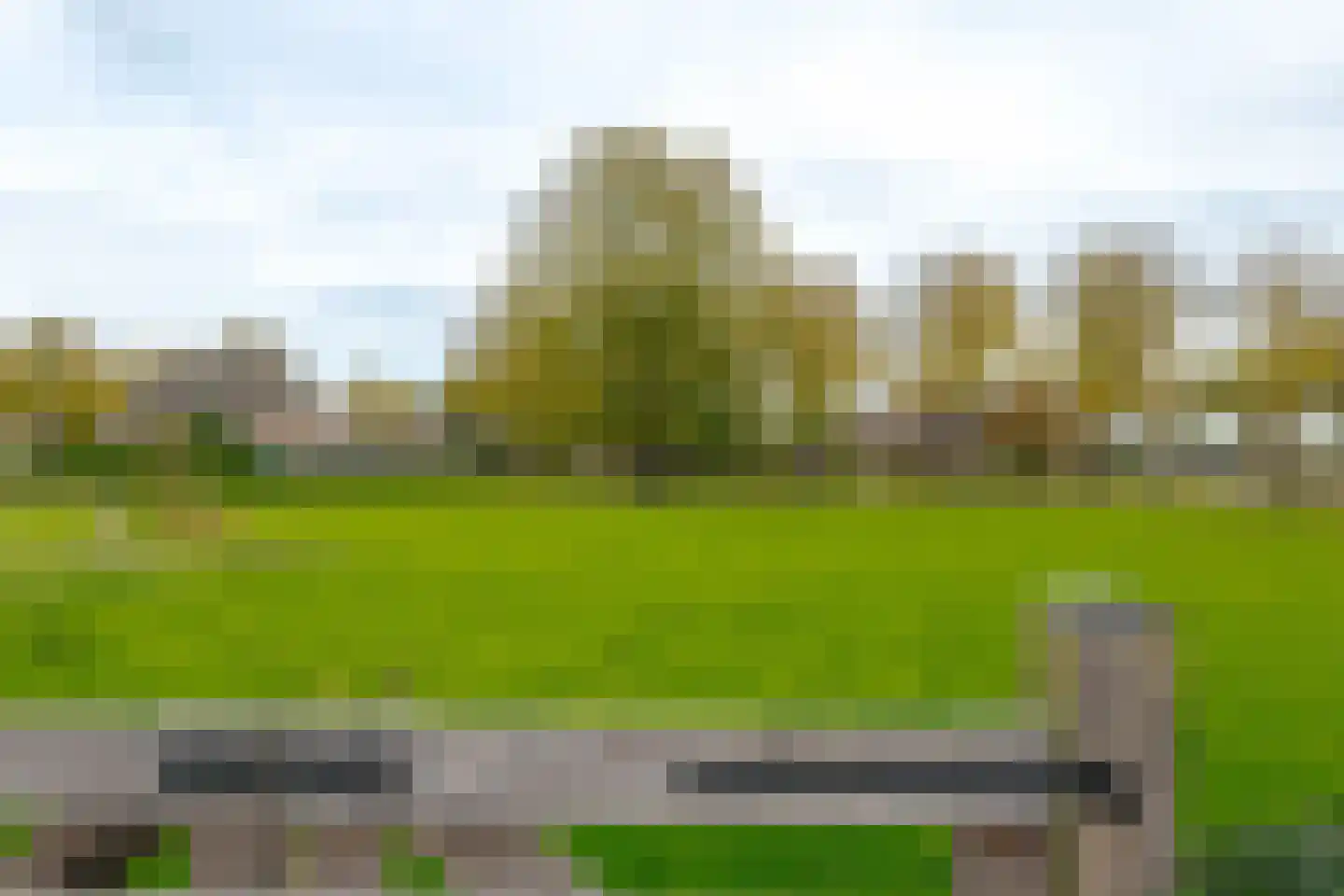 Boerstraat 4 Elp thumbnail 64