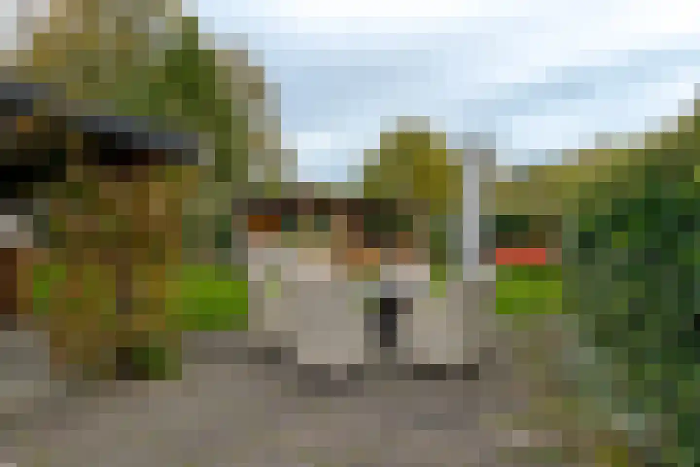 Boerstraat 4 Elp thumbnail 68