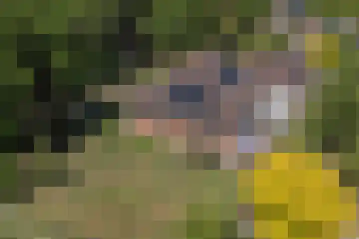 Boerveenschemond 1 Stadskanaal thumbnail 4