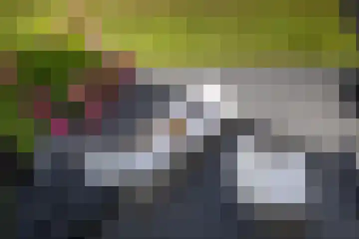 Boerweg 1 B Epe thumbnail 28