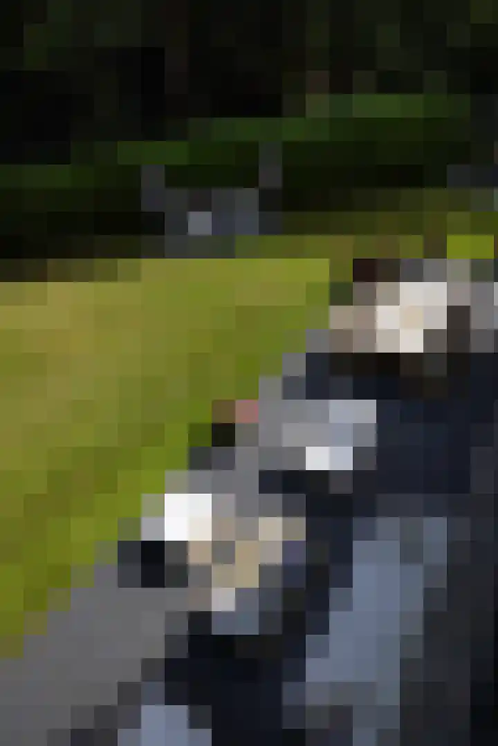 Boerweg 1 B Epe thumbnail 29