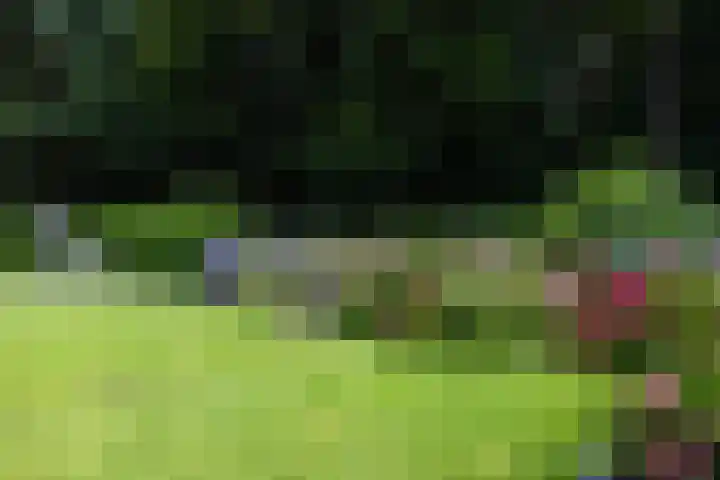 Boerweg 1 B Epe thumbnail 32
