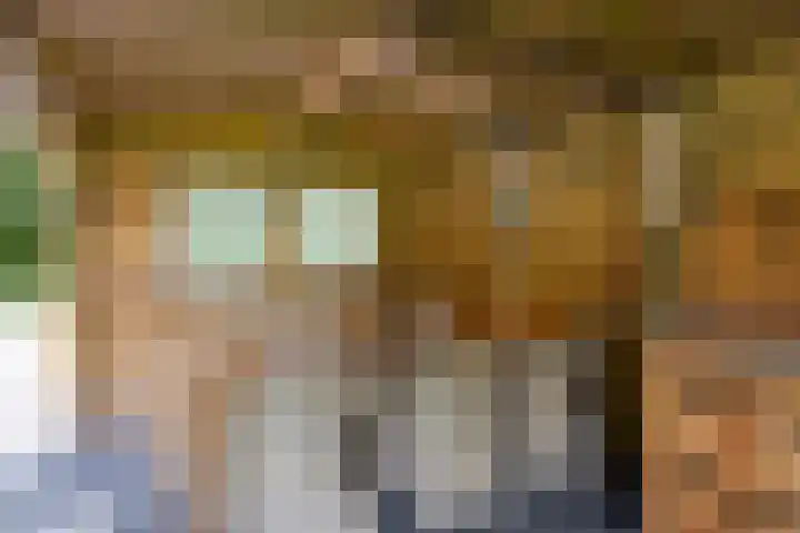 Boerweg 1 B Epe thumbnail 39