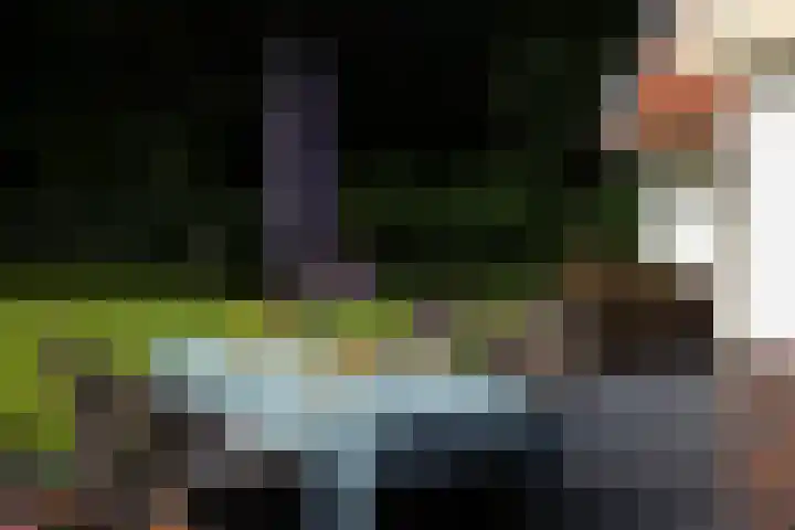 Boerweg 1 B Epe thumbnail 42