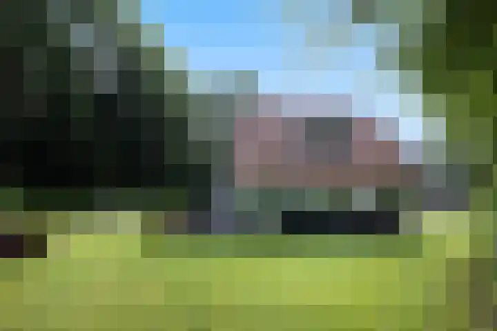 Boerweg 1 B Epe thumbnail 46