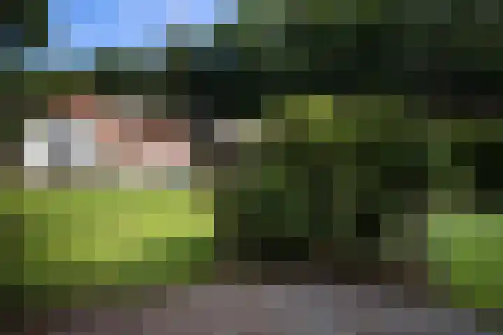 Boerweg 1 B Epe thumbnail 47