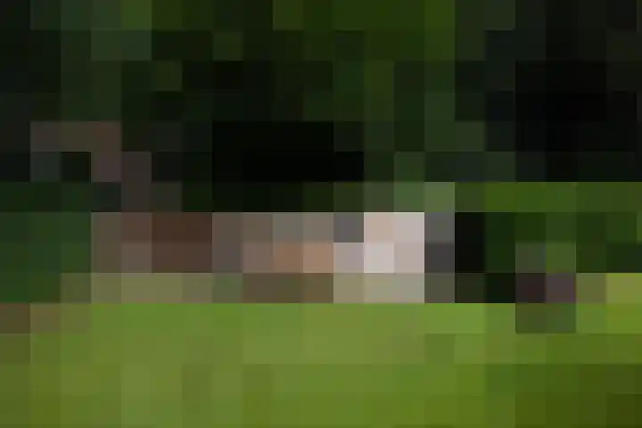 Boerweg 1 B Epe thumbnail 48