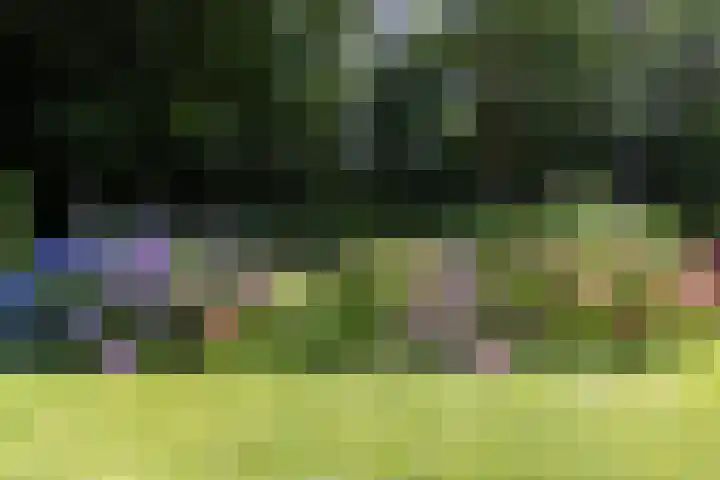 Boerweg 1 B Epe thumbnail 49
