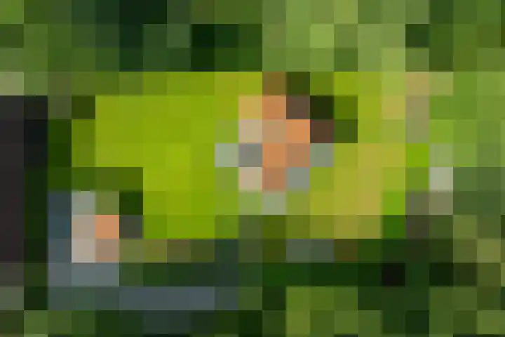 Boerweg 1 B Epe thumbnail 5