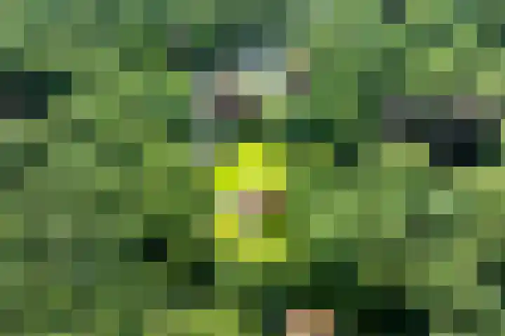 Boerweg 1 B Epe thumbnail 53