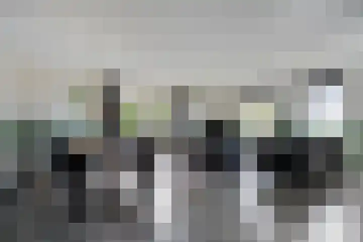 Boerweg 24 Den Ham thumbnail 14