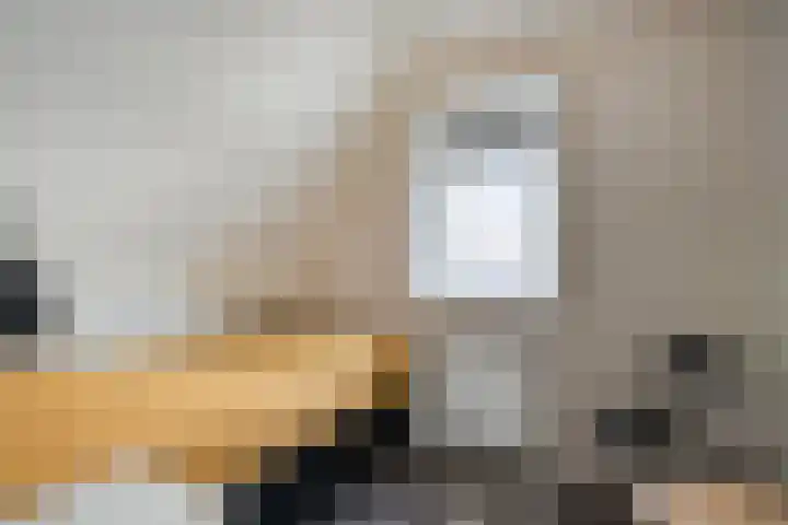 Boerweg 24 Den Ham thumbnail 22