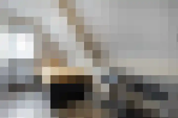 Boerweg 24 Den Ham thumbnail 24