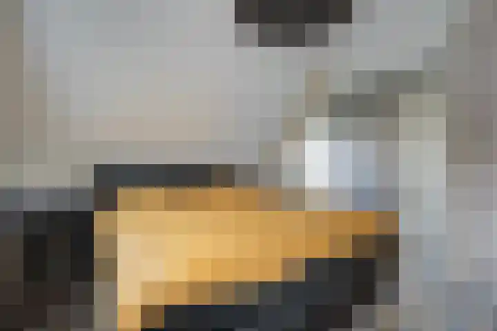 Boerweg 24 Den Ham thumbnail 27