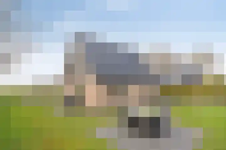 Boerweg 24 Den Ham thumbnail 30