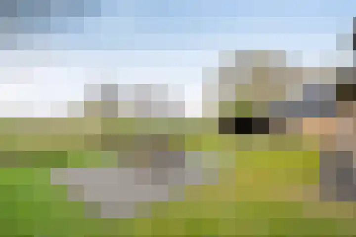 Boerweg 24 Den Ham thumbnail 32