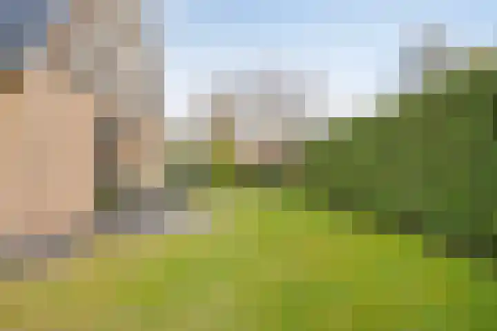 Boerweg 24 Den Ham thumbnail 33