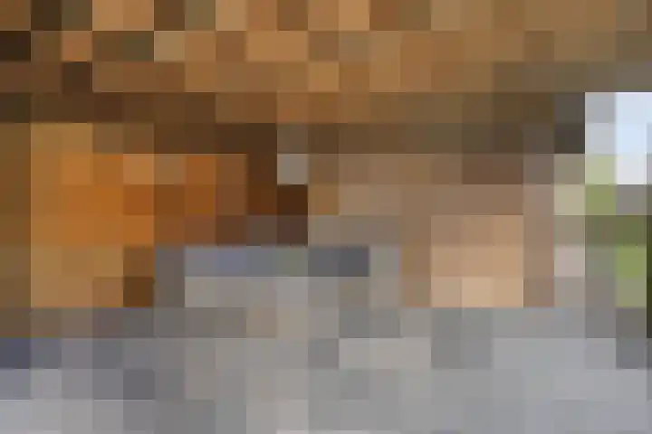 Boerweg 24 Den Ham thumbnail 35