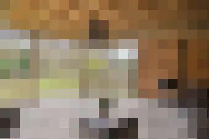 Boerweg 24 Den Ham thumbnail 36