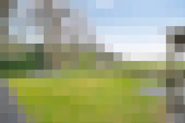 Boerweg 24 Den Ham thumbnail 37