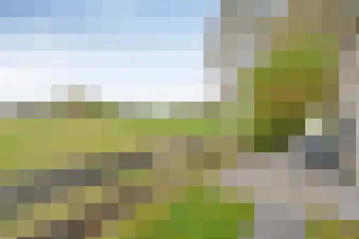 Boerweg 24 Den Ham thumbnail 39