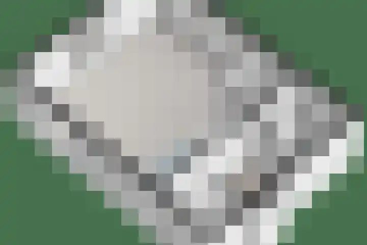 Boerweg 24 Den Ham thumbnail 41