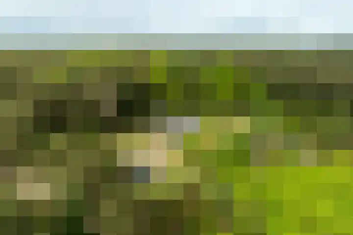 Boerweg 40 Emst thumbnail 10