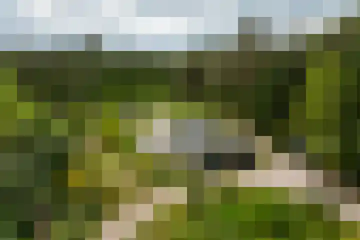 Boerweg 40 Emst thumbnail 11