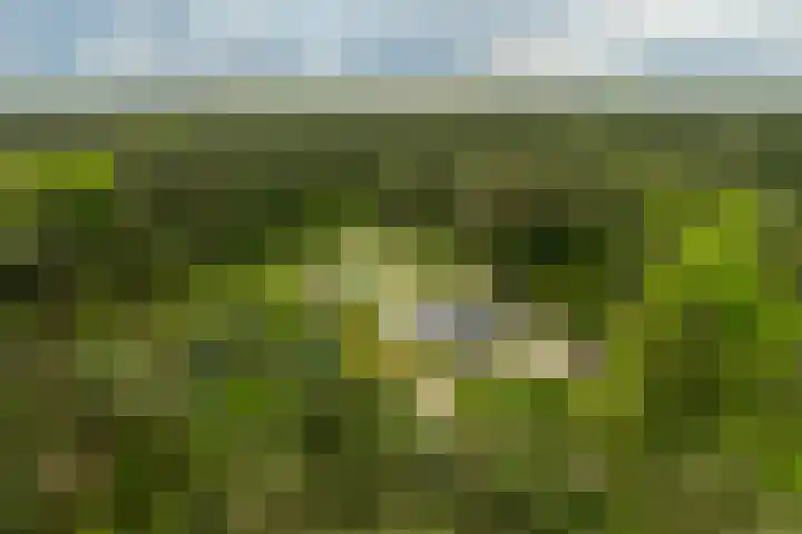 Boerweg 40 Emst thumbnail 12