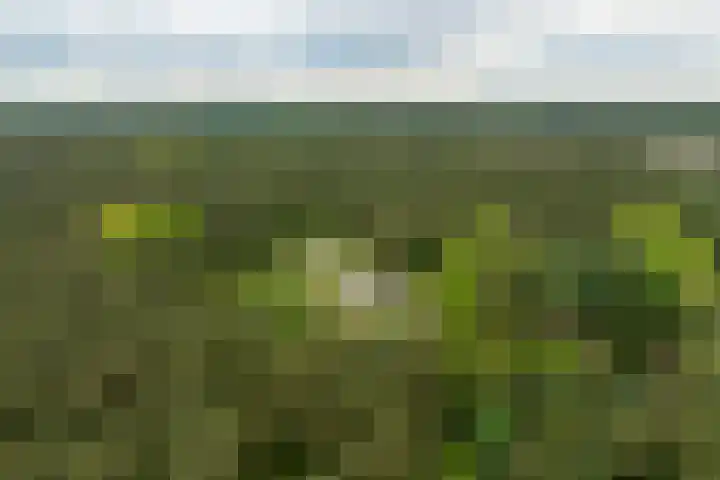 Boerweg 40 Emst thumbnail 13