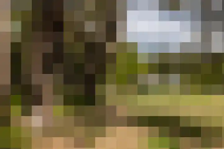 Boerweg 40 Emst thumbnail 14