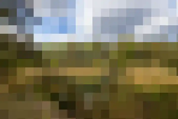 Boerweg 40 Emst thumbnail 15