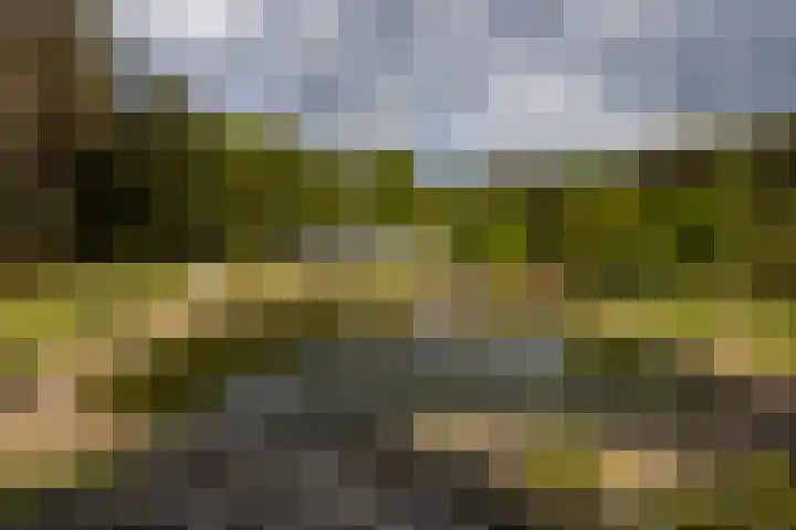 Boerweg 40 Emst thumbnail 16