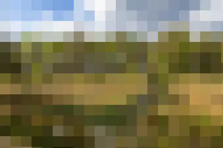 Boerweg 40 Emst thumbnail 18