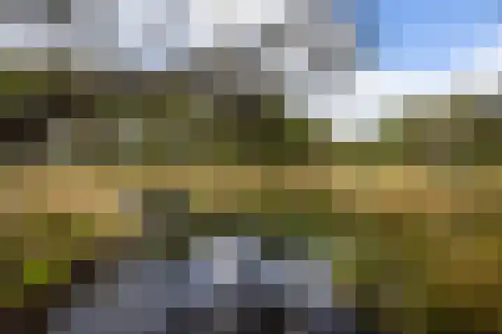 Boerweg 40 Emst thumbnail 19