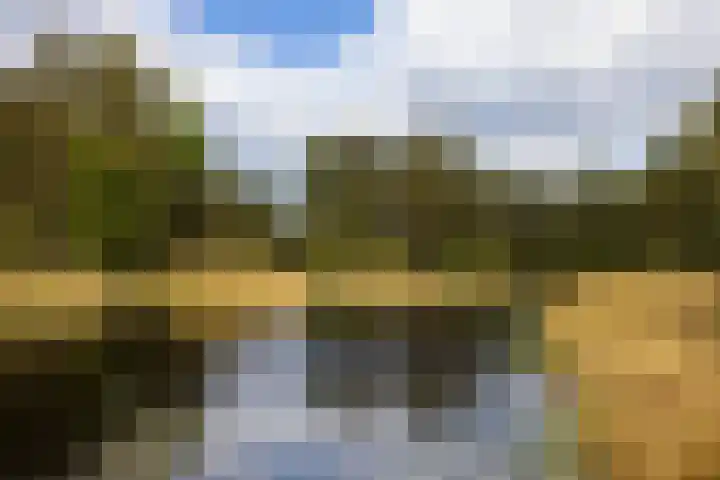 Boerweg 40 Emst thumbnail 20