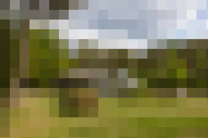 Boerweg 40 Emst thumbnail 24