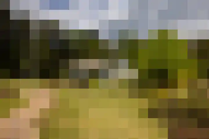 Boerweg 40 Emst thumbnail 25